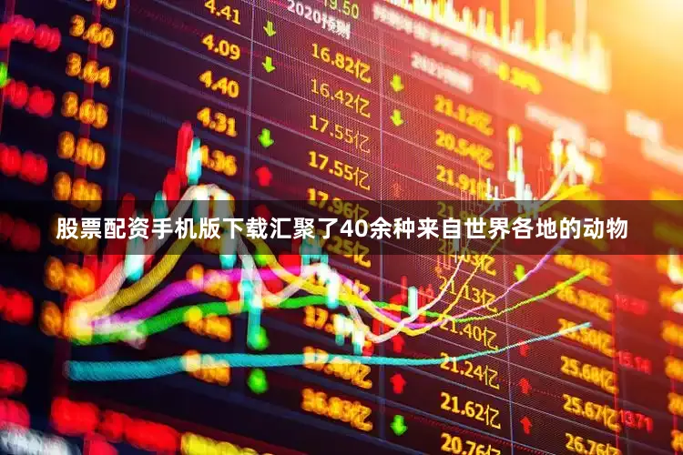 股票配资手机版下载汇聚了40余种来自世界各地的动物